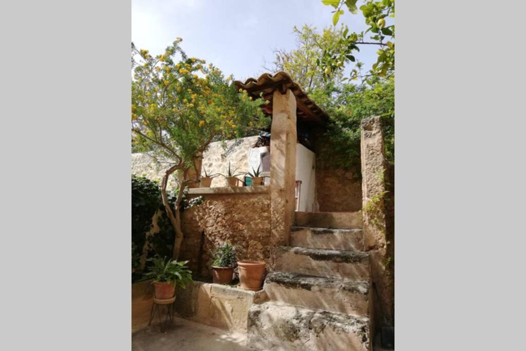 Vila Cas Potecari Porreres Exteriér fotografie