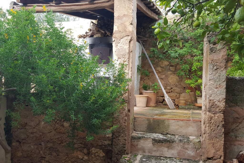 Vila Cas Potecari Porreres Exteriér fotografie