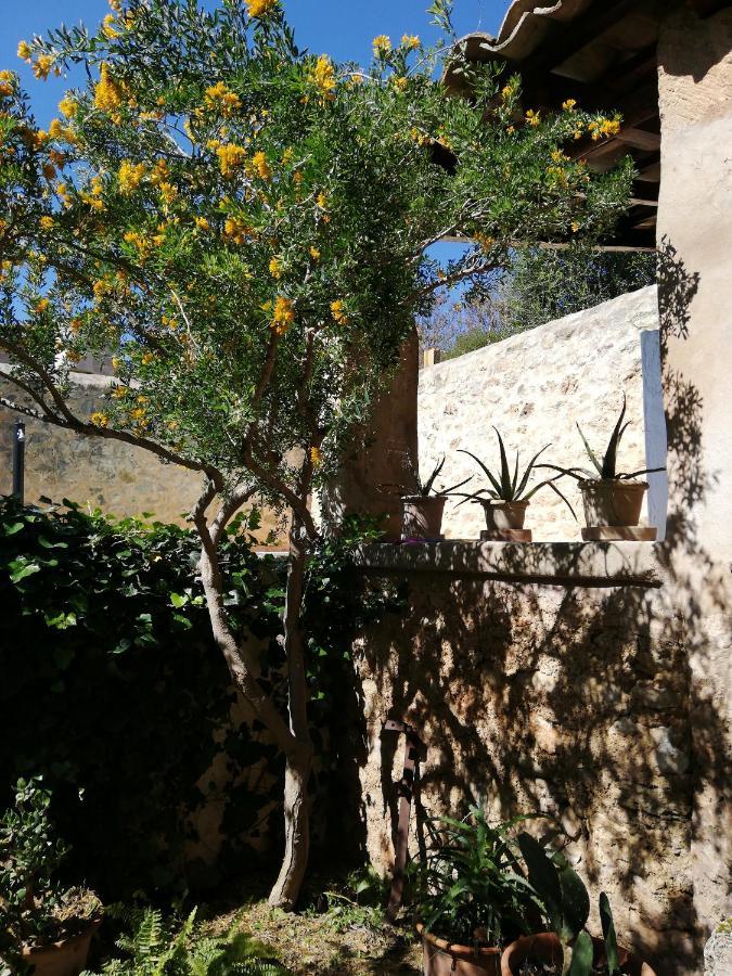 Vila Cas Potecari Porreres Exteriér fotografie
